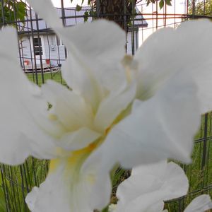 Meet your Posher, Janette